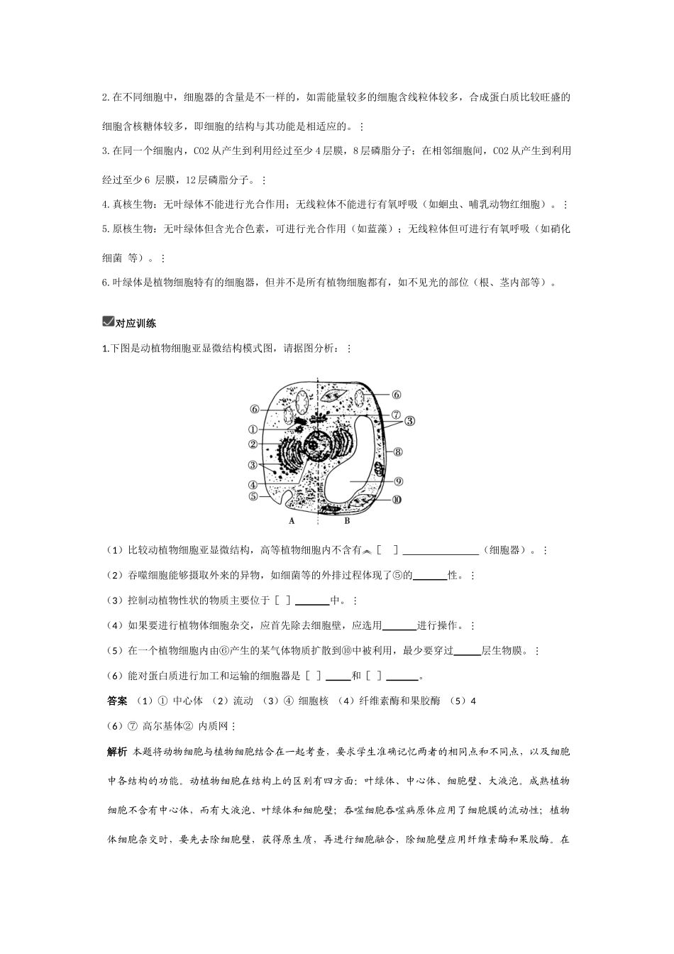 2010高三生物一轮复习-细胞的结构和功能（二）——细胞质教案_第3页