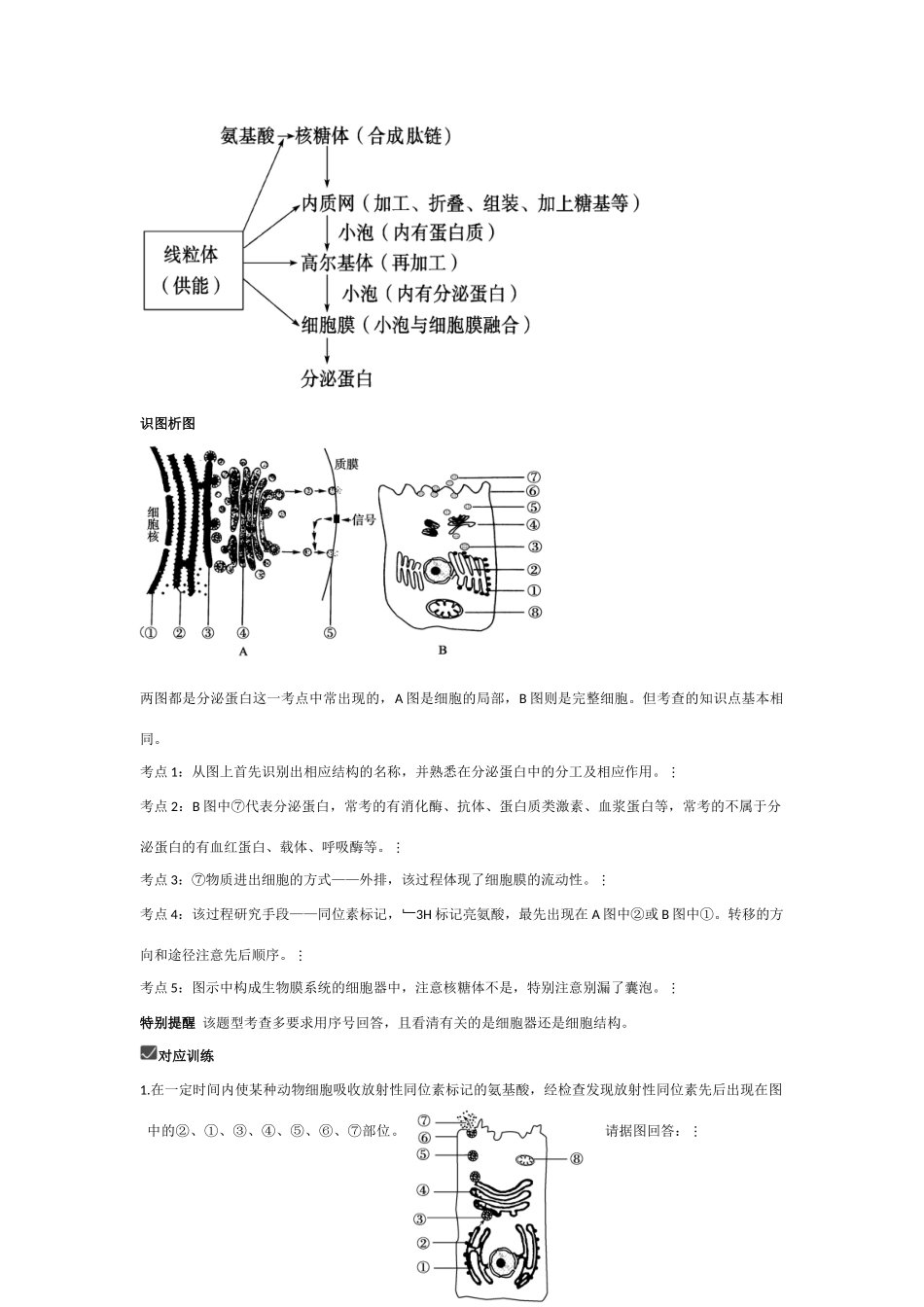 2010高三生物一轮复习-细胞的生物膜系统（选修）教案_第2页
