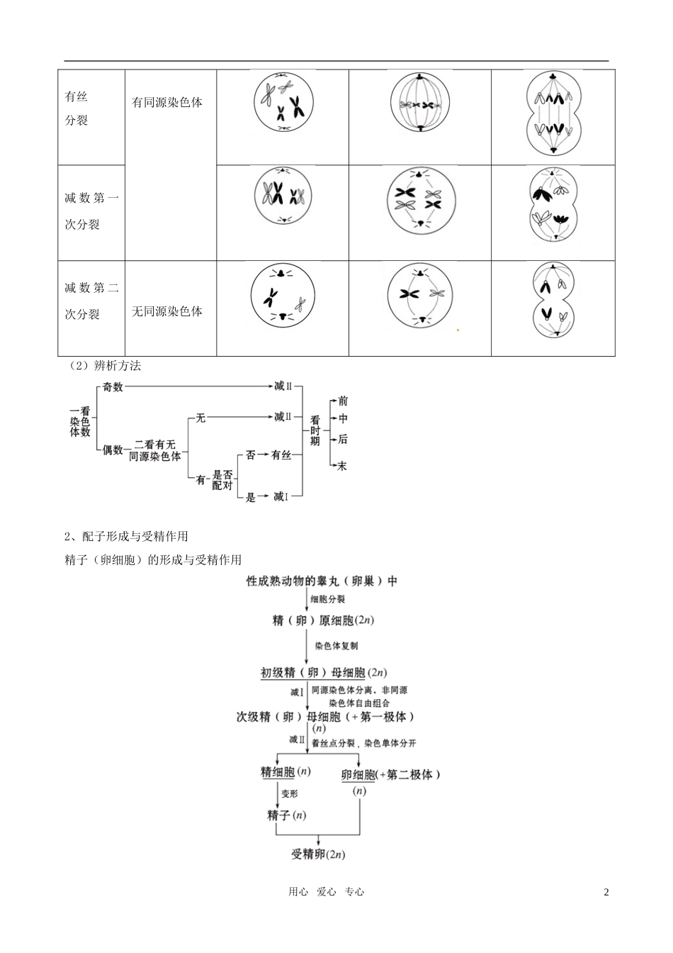 2011届高考生物二轮复习 3.1《细胞增殖和受精作用》专题学案 新人教版_第2页