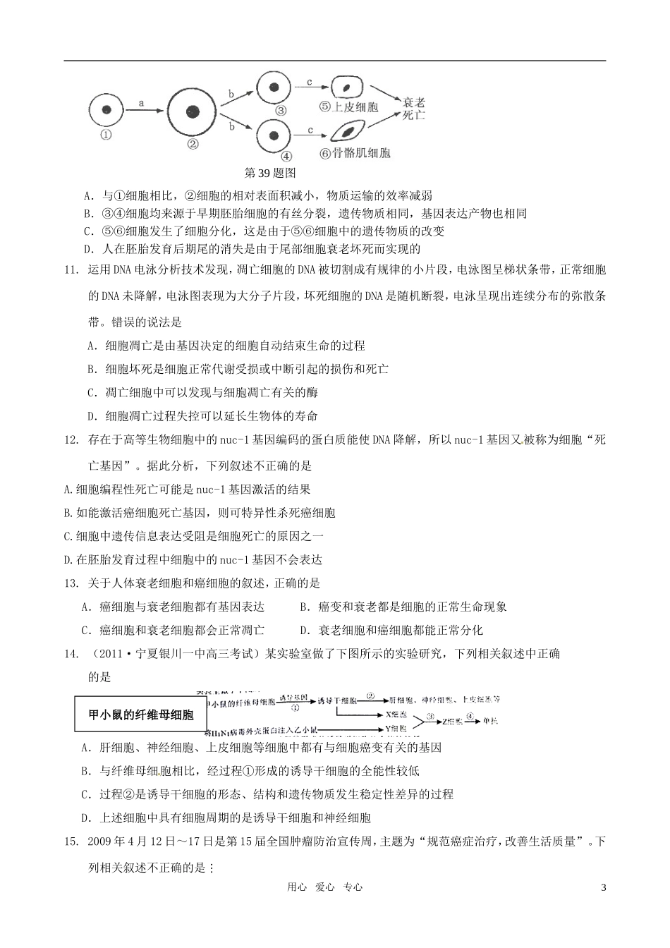 2011届高考生物二轮复习 细胞的生命历程 专题质量评估（三）专题学案 新人教版_第3页