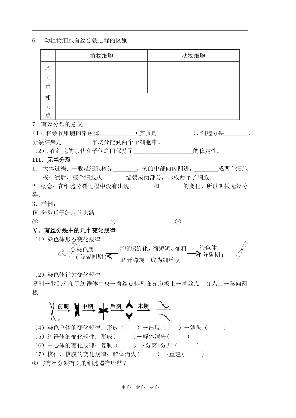 2010界高三生物一轮复习：细胞增殖导学案人教版必修一_第3页