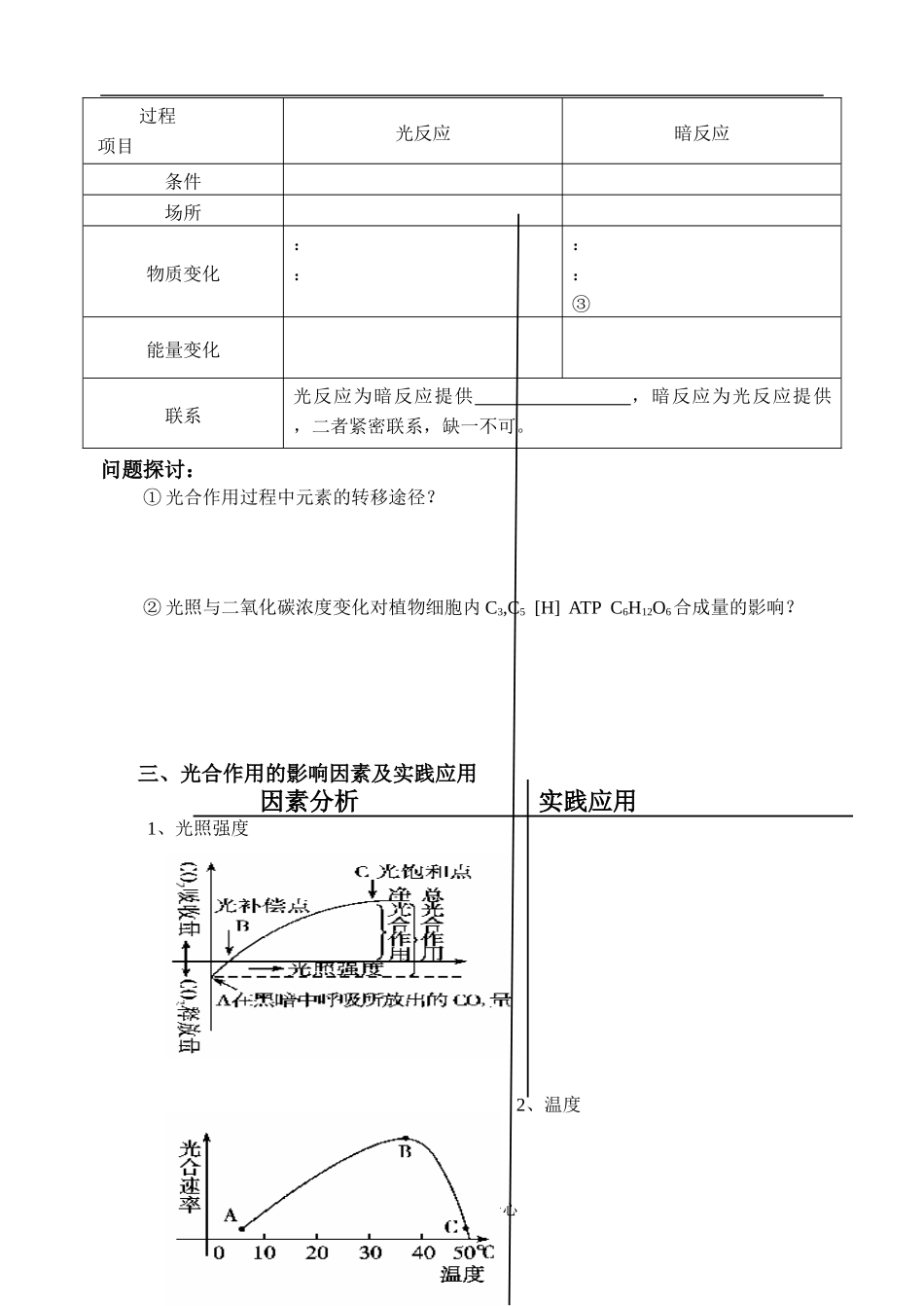 2010界高三一轮复习导学案：光合作用_第3页