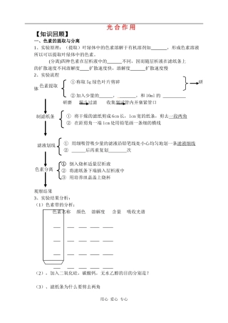 2010界高三一轮复习导学案：光合作用