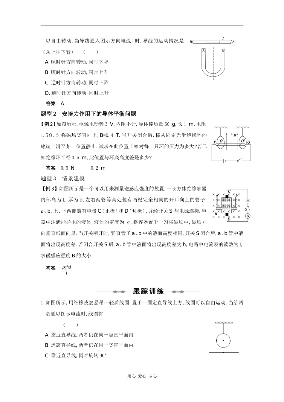 2010高考物理精品讲练系列学案：安培力 磁电式电表_第2页