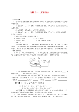 2010高中化学高考二轮复习学案：专题11《无机综合》全国通用