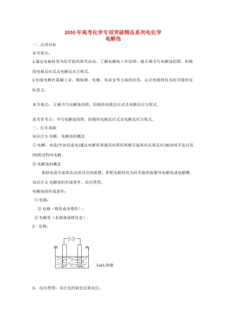 2010高中化学高考专项突破精品学案：电解池
