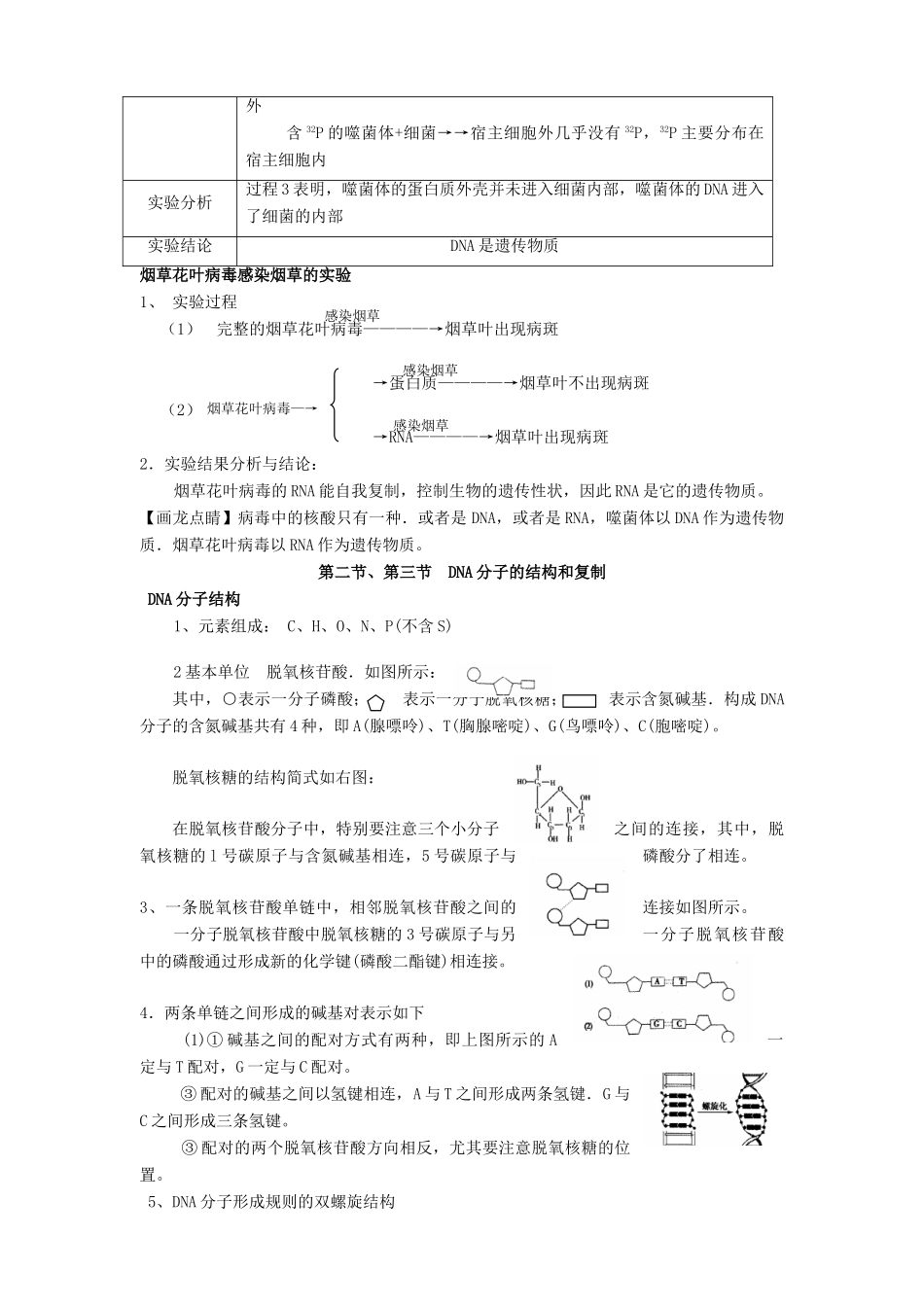2011届高三生物一轮复习 遗传的分子基础教案 新人教版_第2页