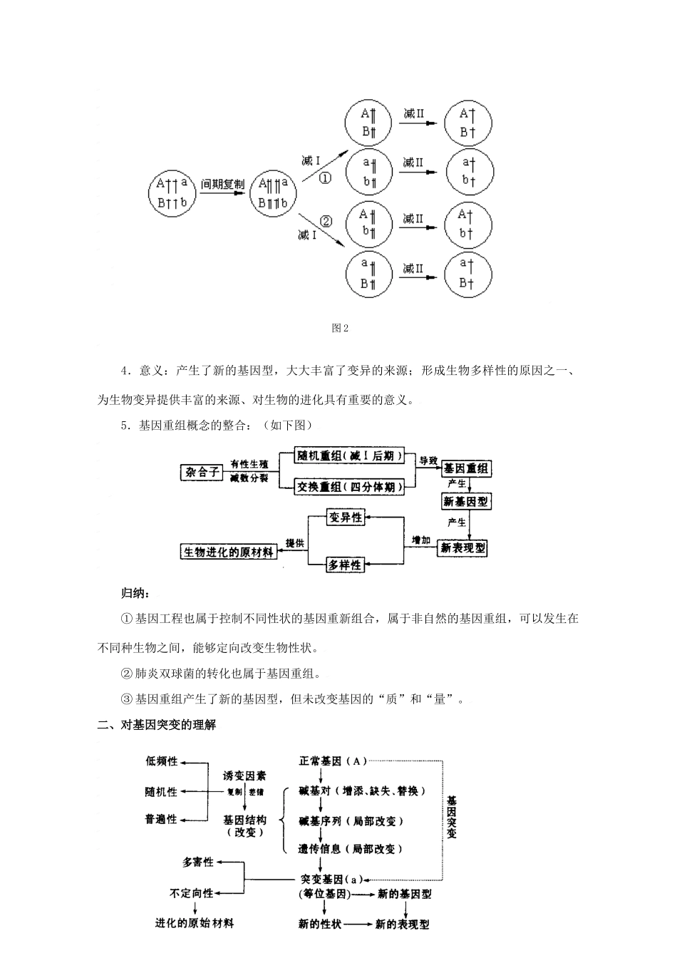 2010高中生物高考二轮复习教案（6）变异、育种、优生和进化全国通用_第3页