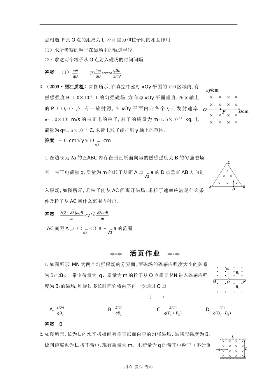 2010高三物理高考精品讲练系列学案：带电粒子在磁场中运动问题特例_第3页