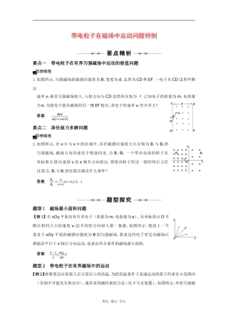 2010高三物理高考精品讲练系列学案：带电粒子在磁场中运动问题特例