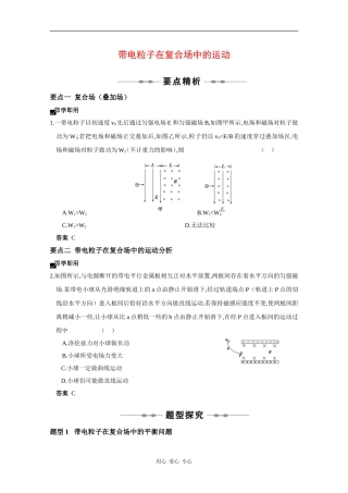 2010高三物理高考精品讲练系列学案：带电粒子在复合场中的运动
