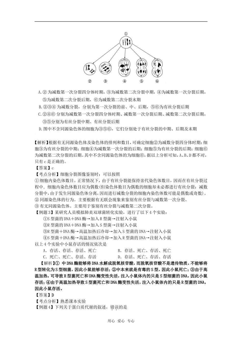 2010高中生物高考二轮复习学案（4）遗传的细胞基础和分子基础全国通用_第3页