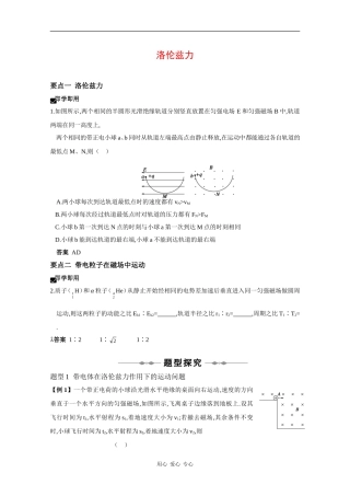 2010高三物理高考精品讲练系列学案：洛伦兹力