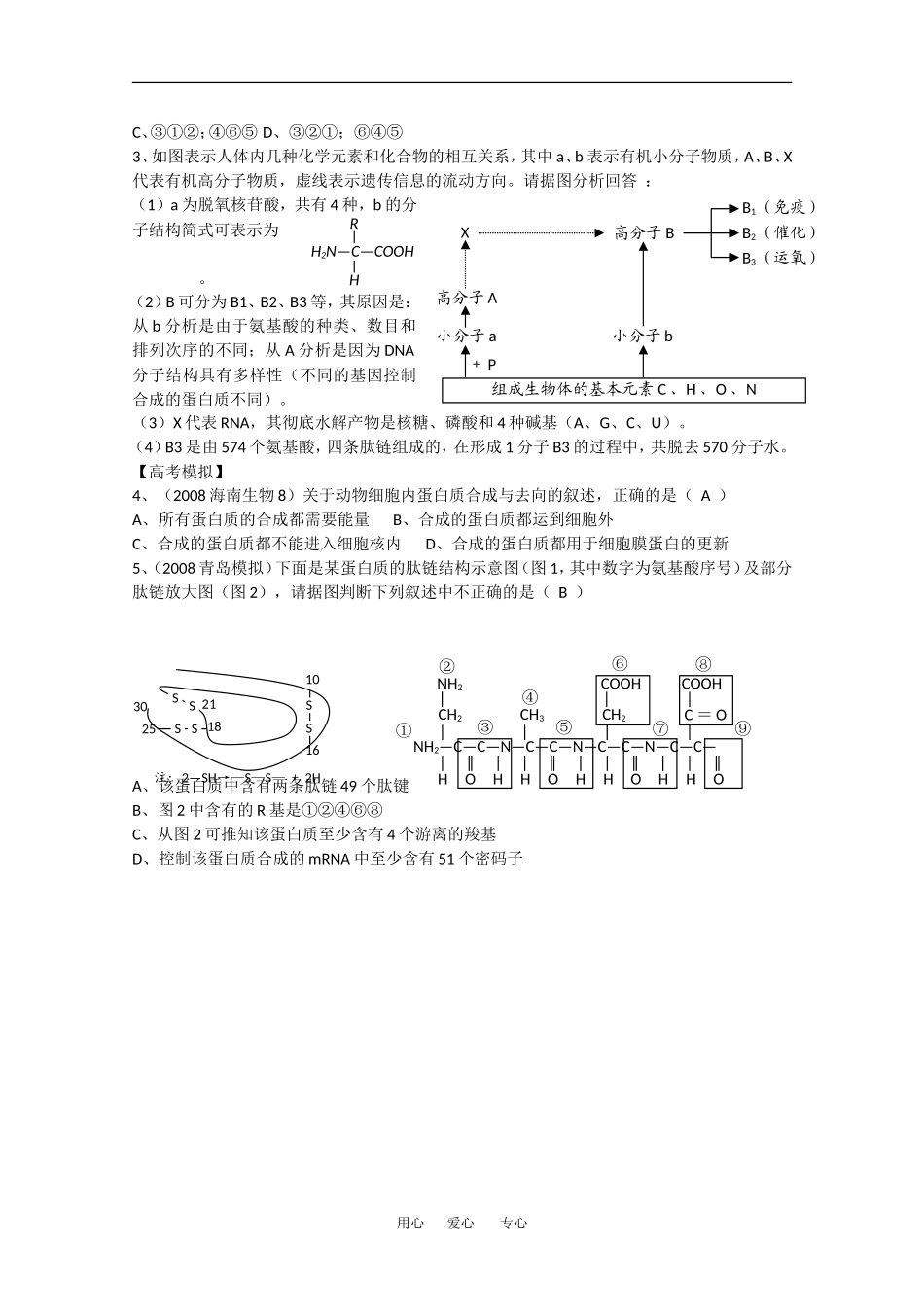 2010高中生物高考精品讲练系列学案：蛋白质的功能_第2页