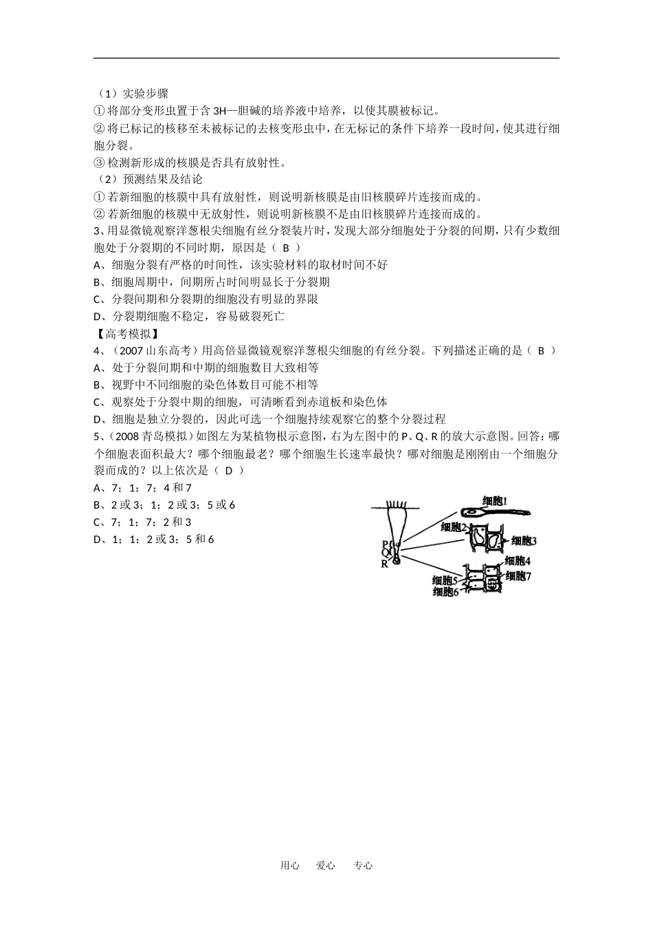 2010高中生物高考精品讲练系列学案：观察根尖分生组织细胞的有丝分裂_第2页