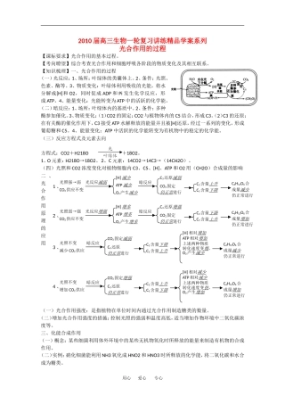 2010高中生物高考精品讲练系列学案：光合作用的过程