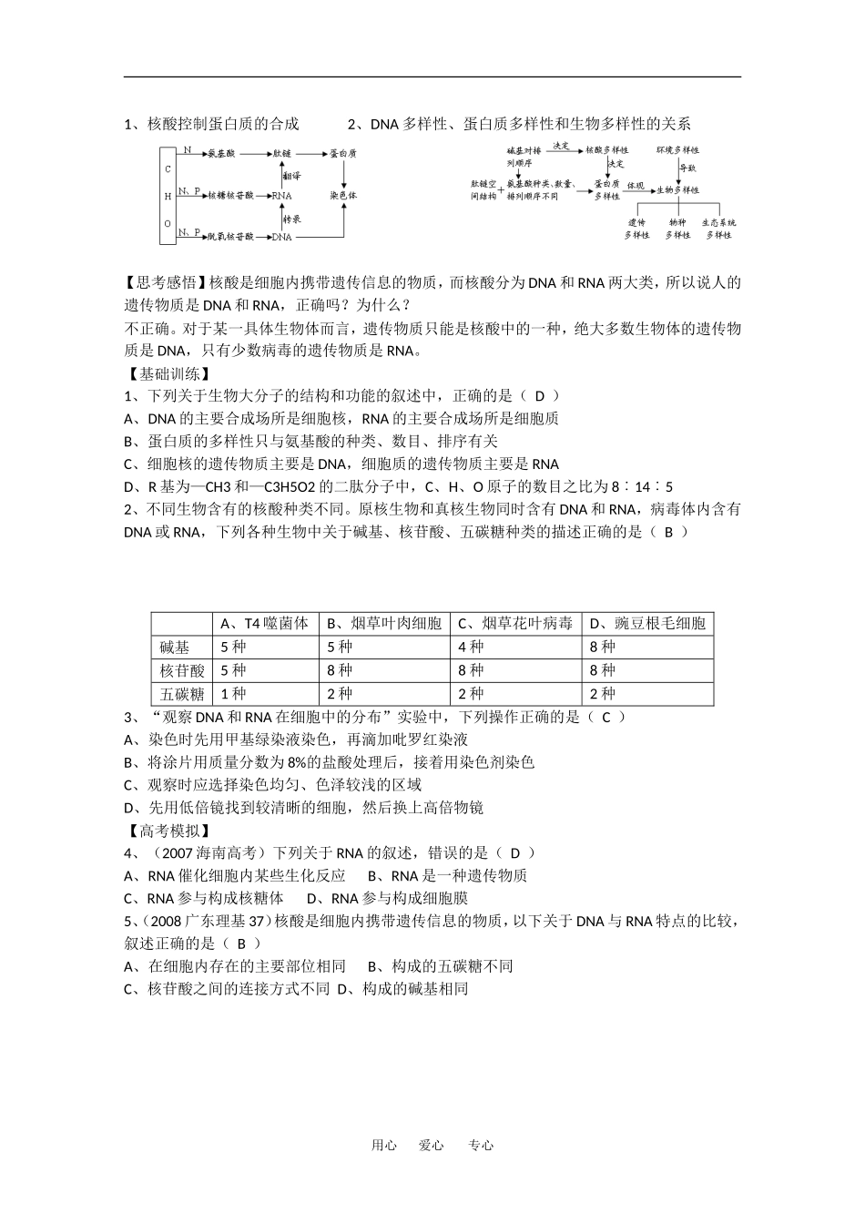 2010高中生物高考精品讲练系列学案：核酸_第2页