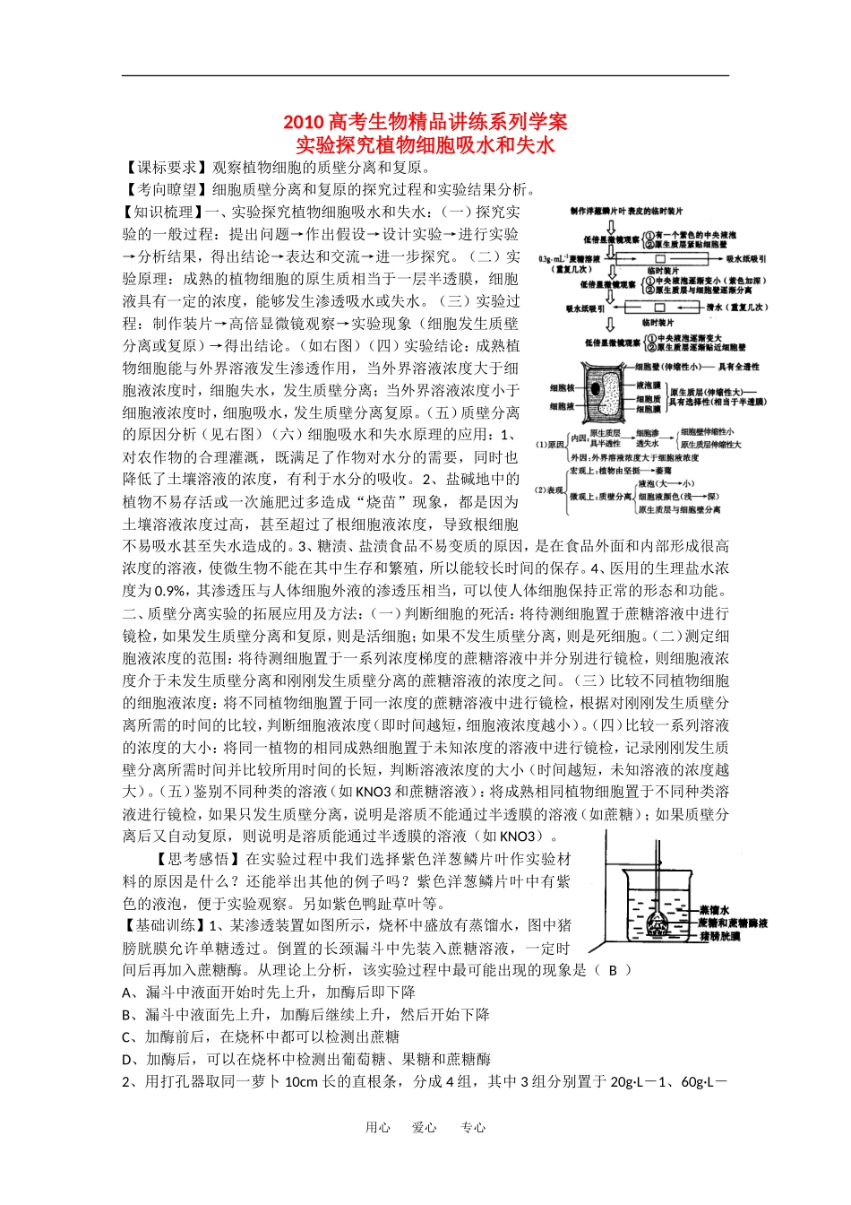 2010高中生物高考精品讲练系列学案：实验探究植物细胞吸水和失水_第1页