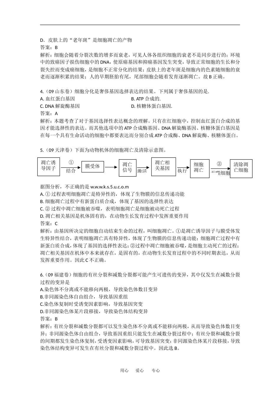 2010高中生物高考精品讲练系列学案：细胞的衰老、凋亡和癌变_第3页