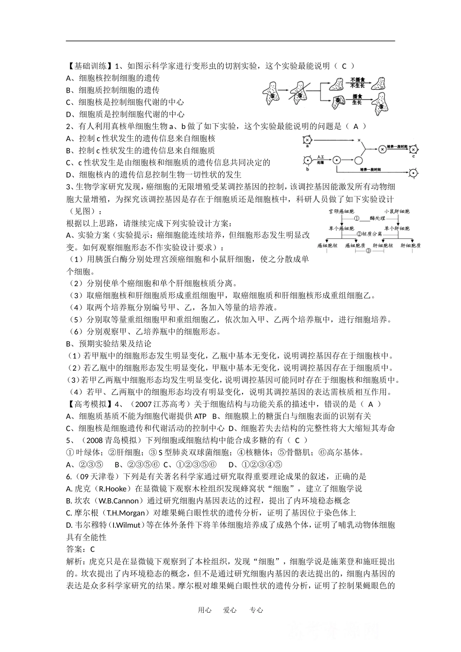 2010高中生物高考精品讲练系列学案：细胞核_第2页