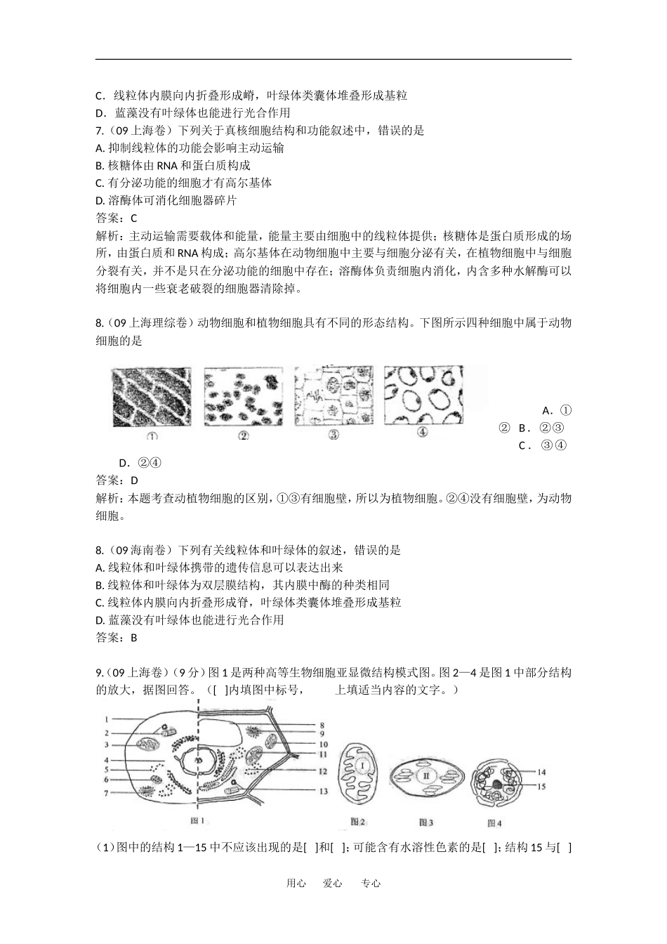 2010高中生物高考精品讲练系列学案：细胞器_第3页