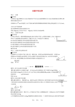 2010高中物理高考精品讲练系列学案：动量守恒定律