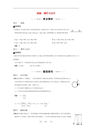 2010高中物理高考精品讲练系列学案：碰撞、爆炸与反冲