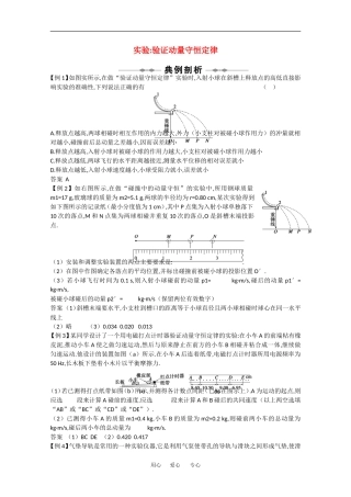 2010高中物理高考精品讲练系列学案：实验（1）验证动量守恒定律
