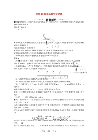 2010高中物理高考精品讲练系列学案：实验（13）验证动量守恒定律