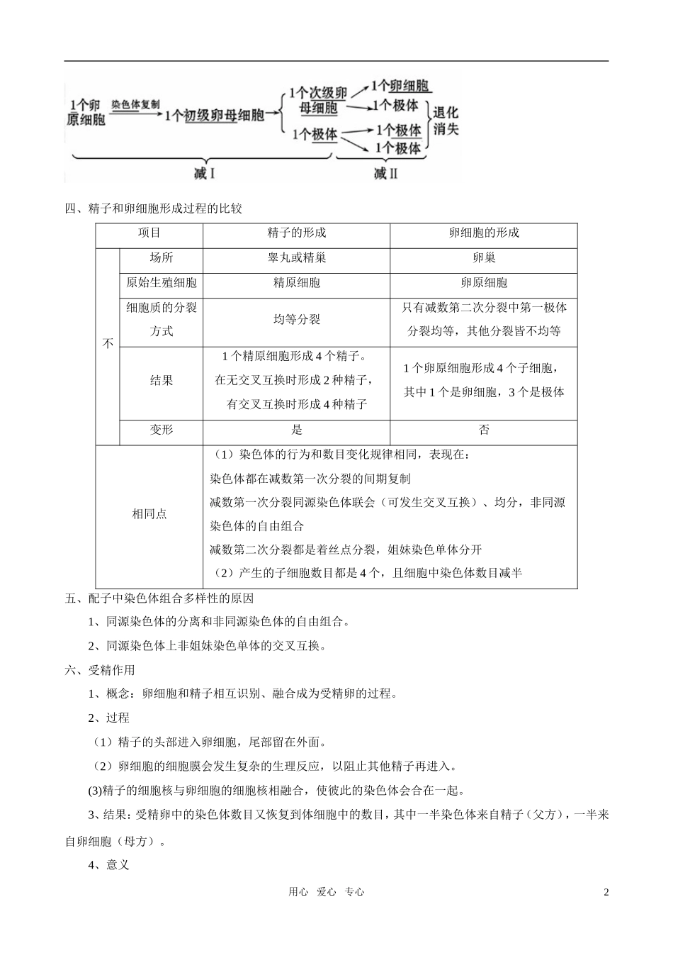 2011版高中生物一轮复习 2.1 减数分裂和受精作用精品学案 新人教版必修2_第2页