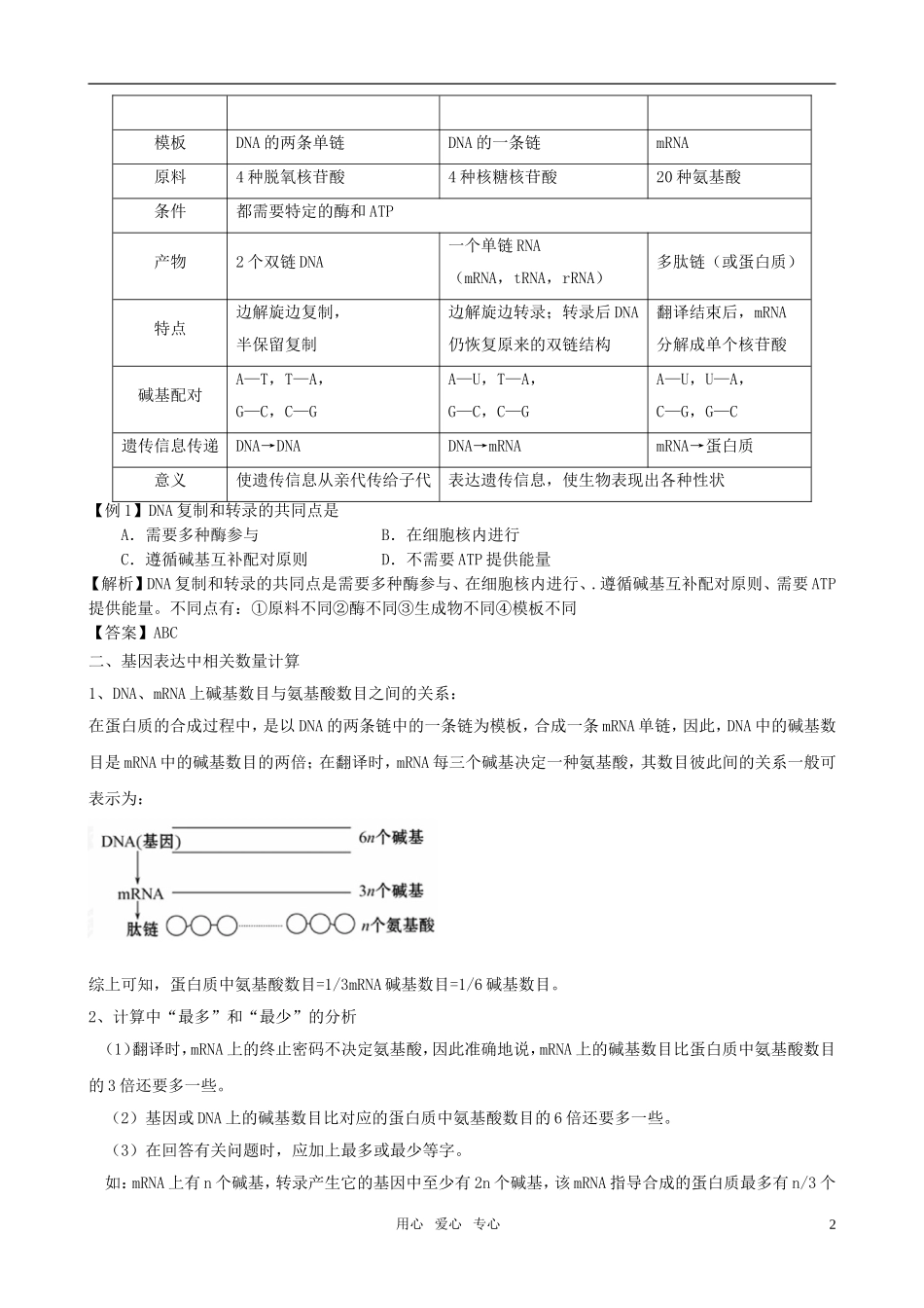 2011版高中生物一轮复习 4.1 基因指导蛋白质的合成精品学案 新人教版必修2_第2页