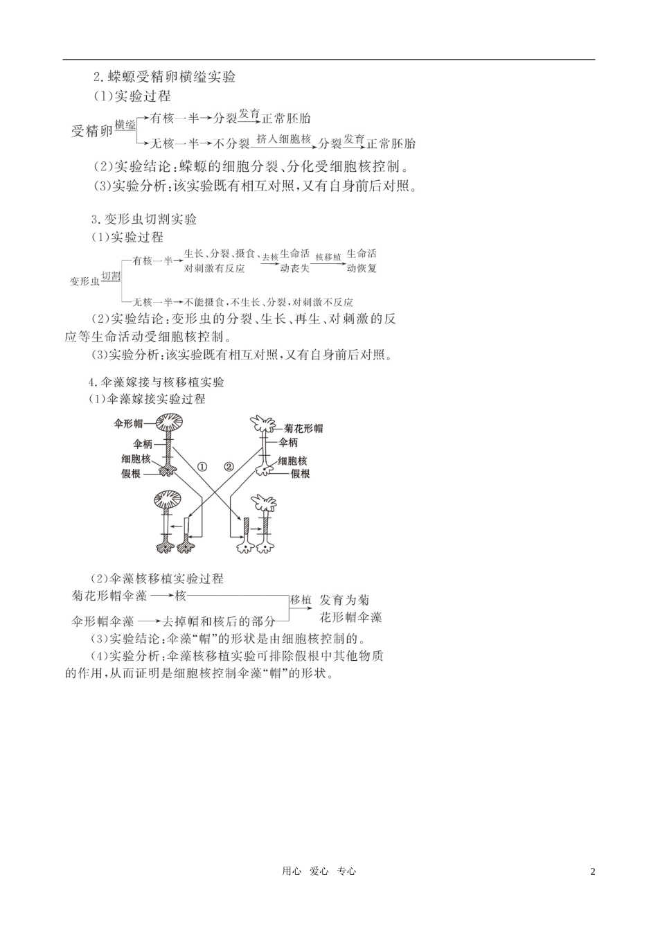 2011版高中生物一轮复习 33 细胞核—系统的控制中心精品学案 新人教版必修1_第2页