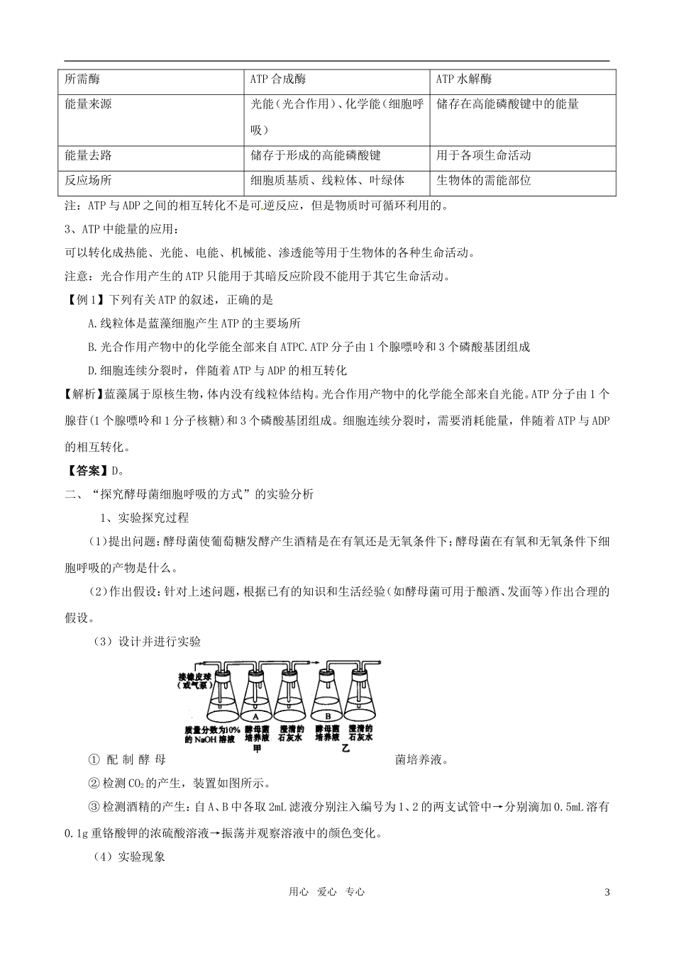 2011版高中生物一轮复习 52 细胞的能量“通货”—TP、ATP的主要来源—细胞呼吸精品学案 新人教版必修1_第3页