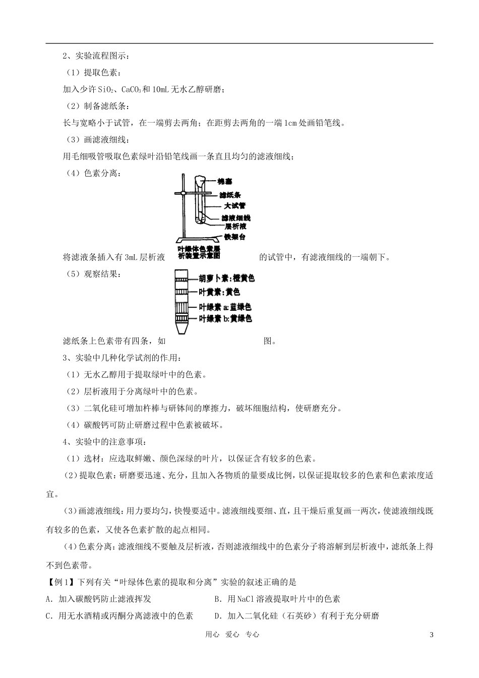 2011版高中生物一轮复习 53 能量之源——光与光合作用精品学案 新人教版必修1_第3页
