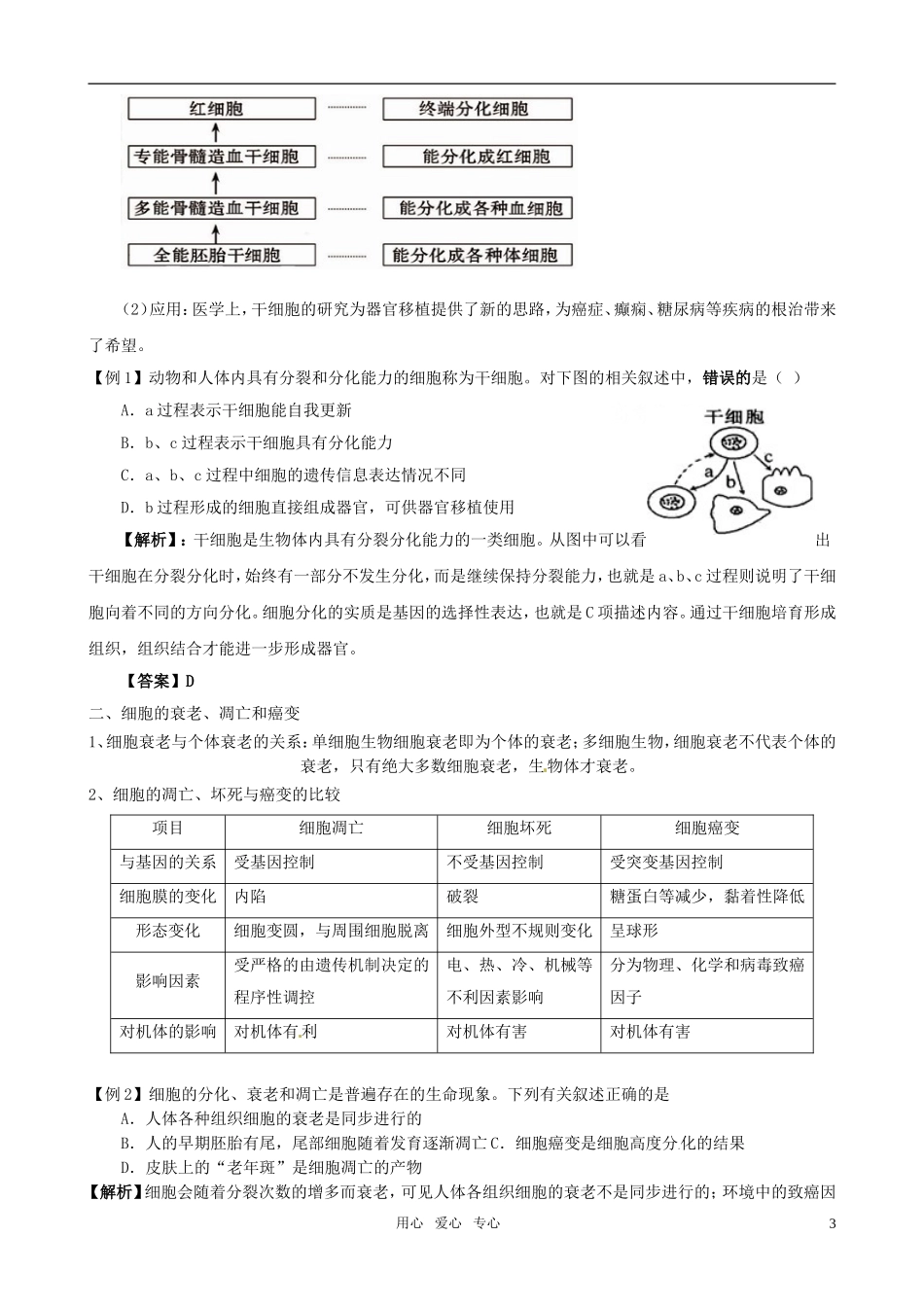 2011版高中生物一轮复习 62 细胞的分化、衰老、凋亡和癌变精品学案 新人教版必修1_第3页