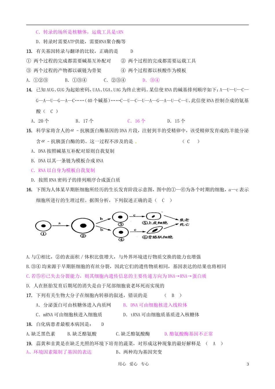 2011版高中生物一轮复习 第4章 基因的表达单元复习精品学案 新人教版必修2_第3页