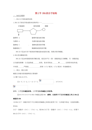 2011年高考生物一轮复习 DNA的分子结构教案 新人教版必修2