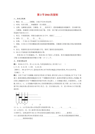 2011年高考生物一轮复习 DNA的复制教案 新人教版必修2