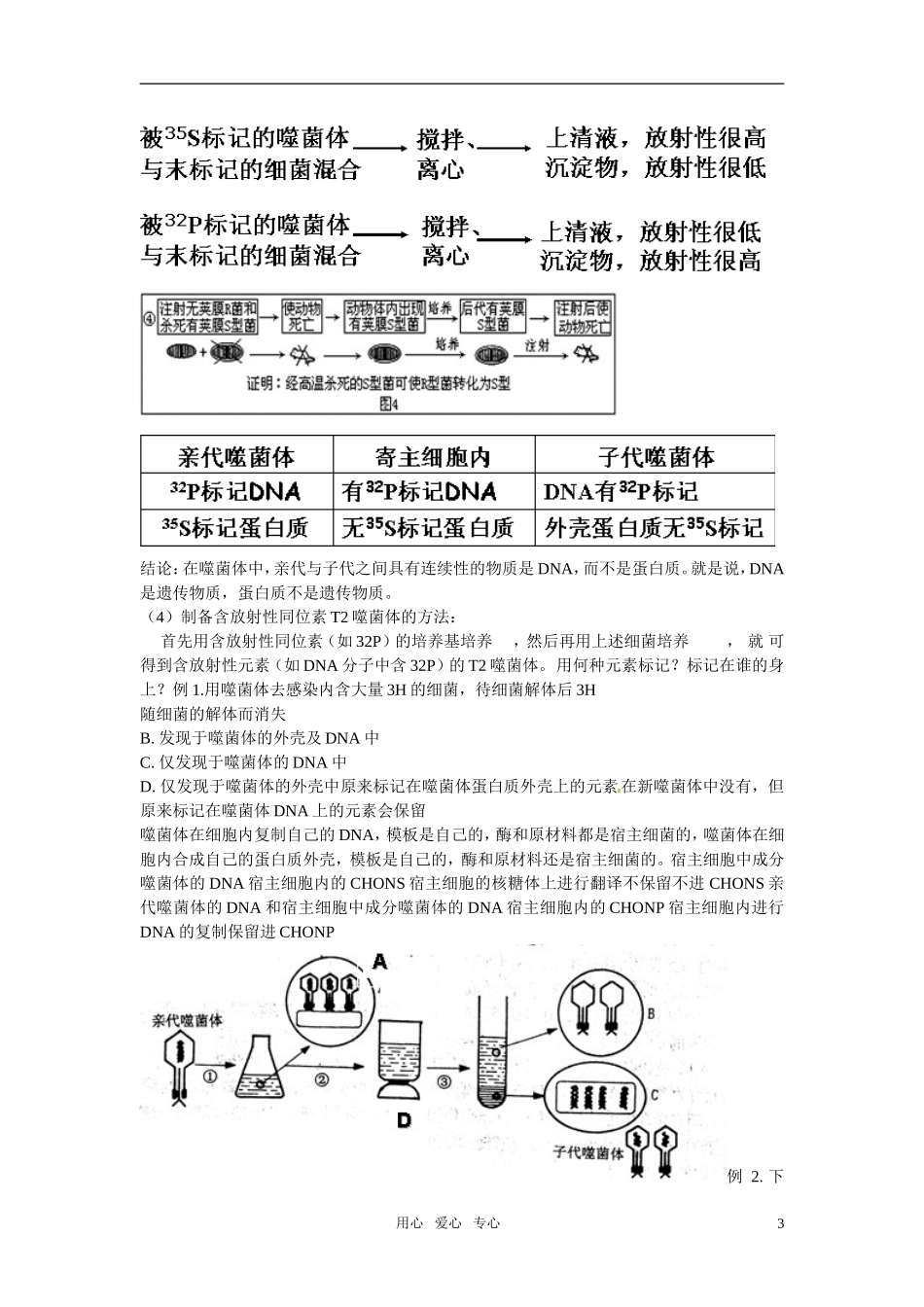 2011年高考生物一轮复习 全套学案 新人教版必修2_第3页