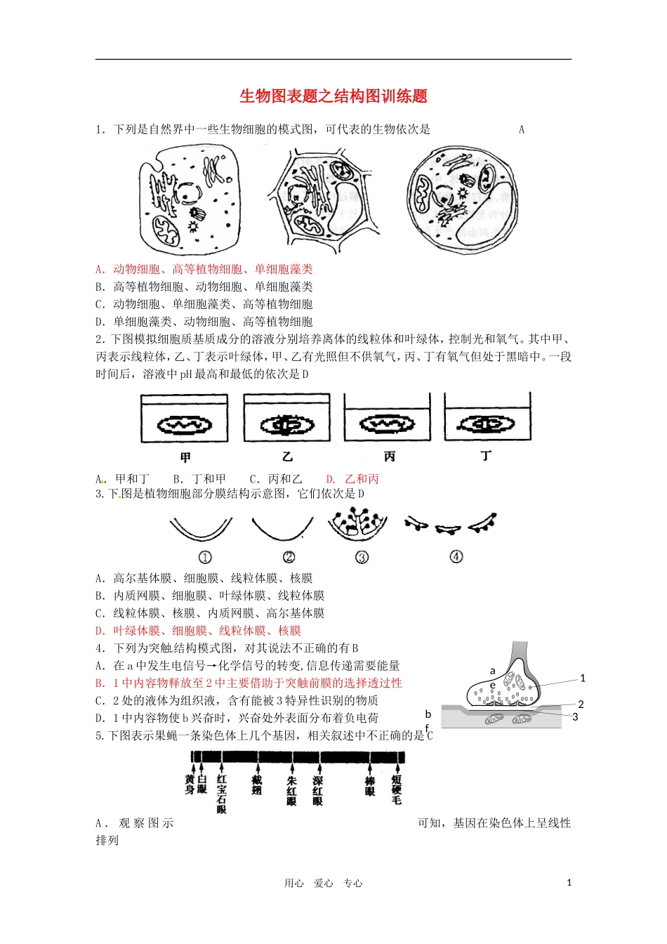 2011年高考生物专题复习11 生物图表题之结构图练习学案 新人教版必修1_第1页