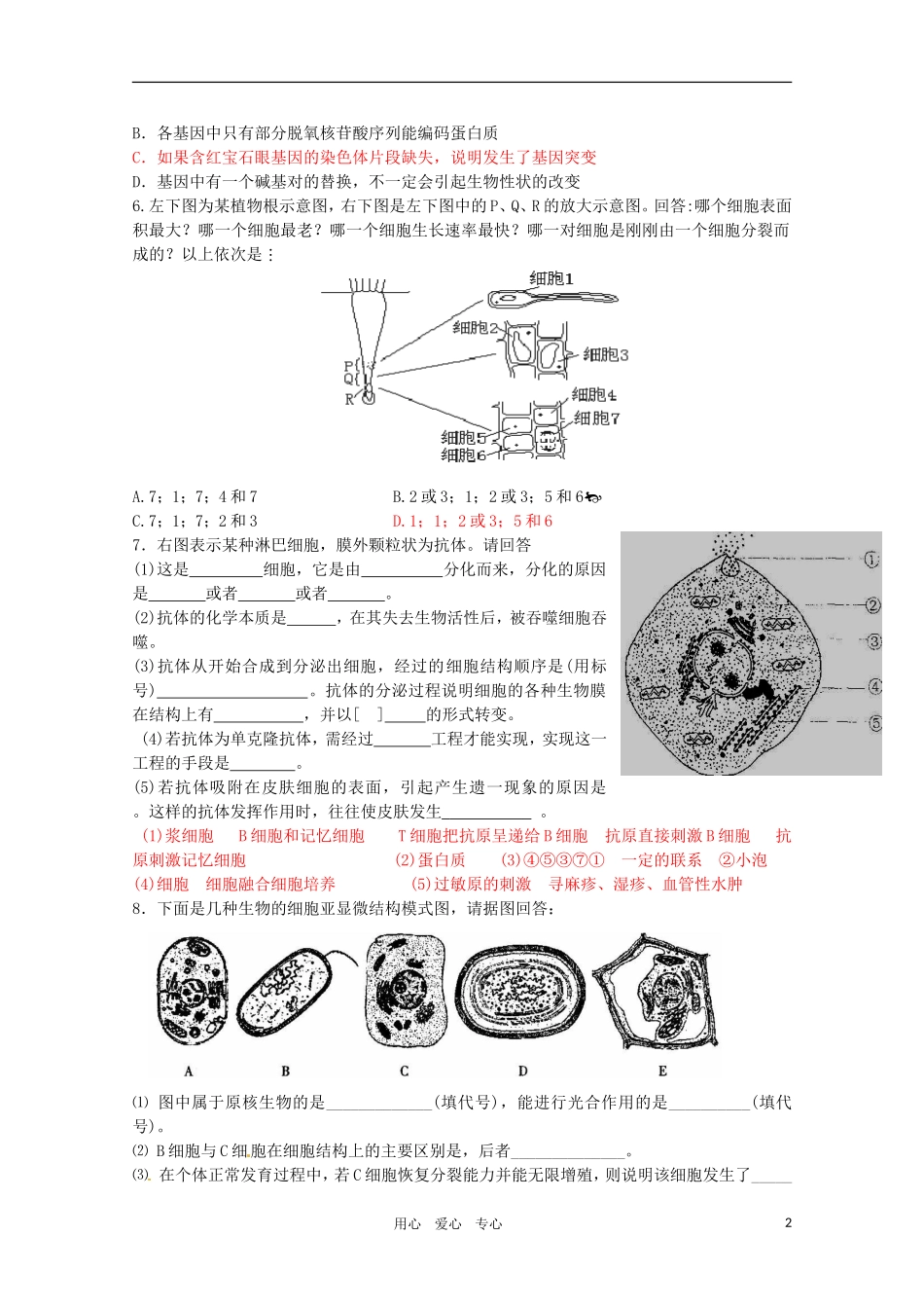 2011年高考生物专题复习11 生物图表题之结构图练习学案 新人教版必修1_第2页