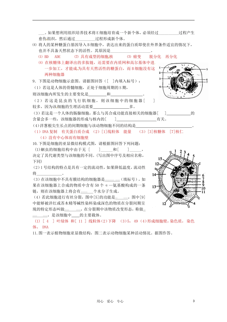 2011年高考生物专题复习11 生物图表题之结构图练习学案 新人教版必修1_第3页