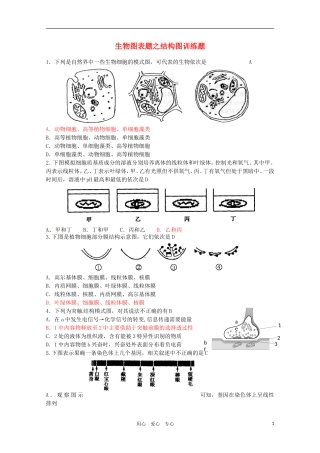 2011年高考生物专题复习11 生物图表题之结构图练习学案 新人教版必修1