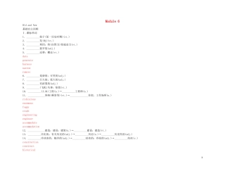 2011高考英语（外研版）总复习 学案：Module6 Old and New（必修3）