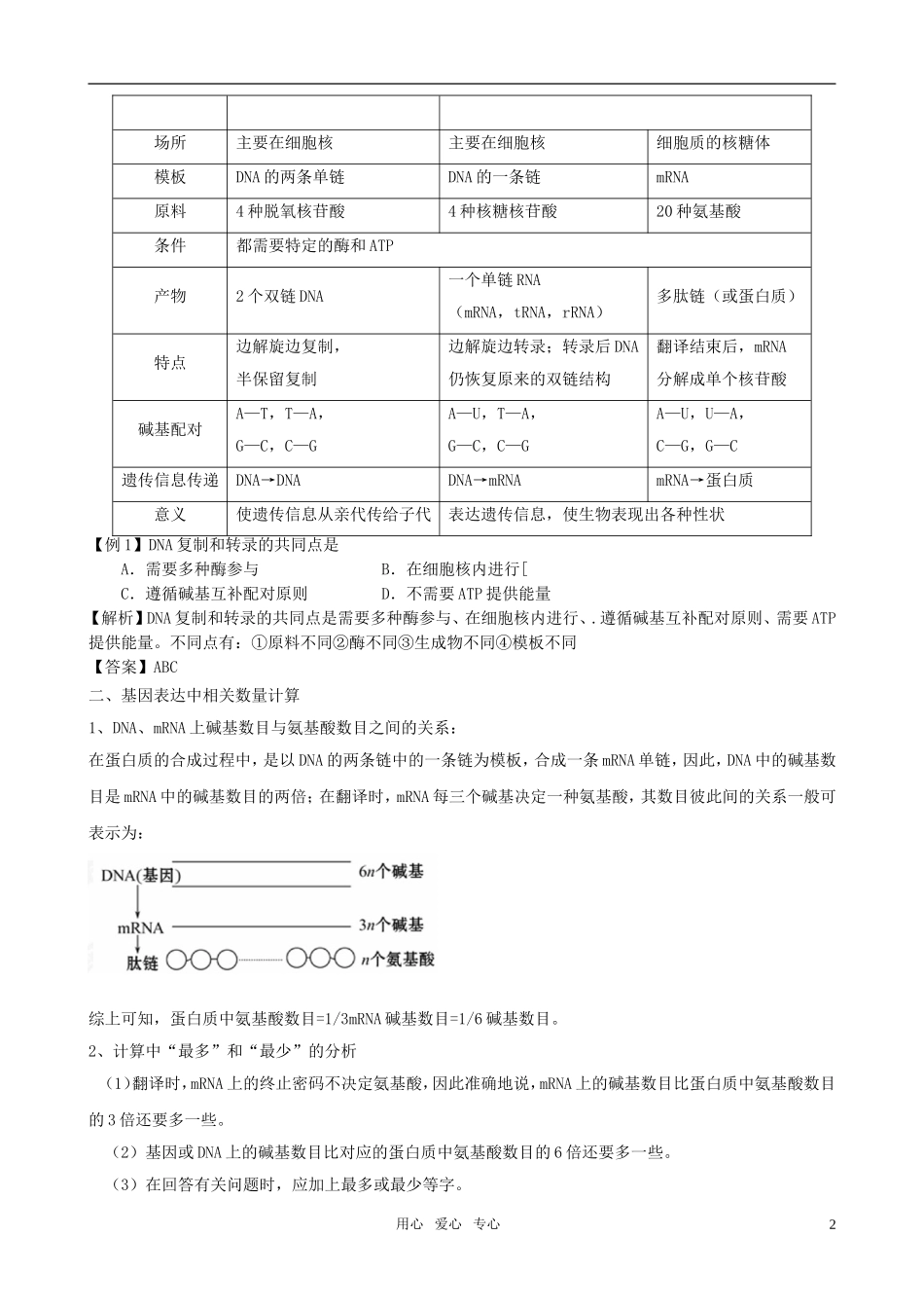 2011版高考生物一轮复习 41 基因指导蛋白质的合成精品学案 新人教版必修2_第2页