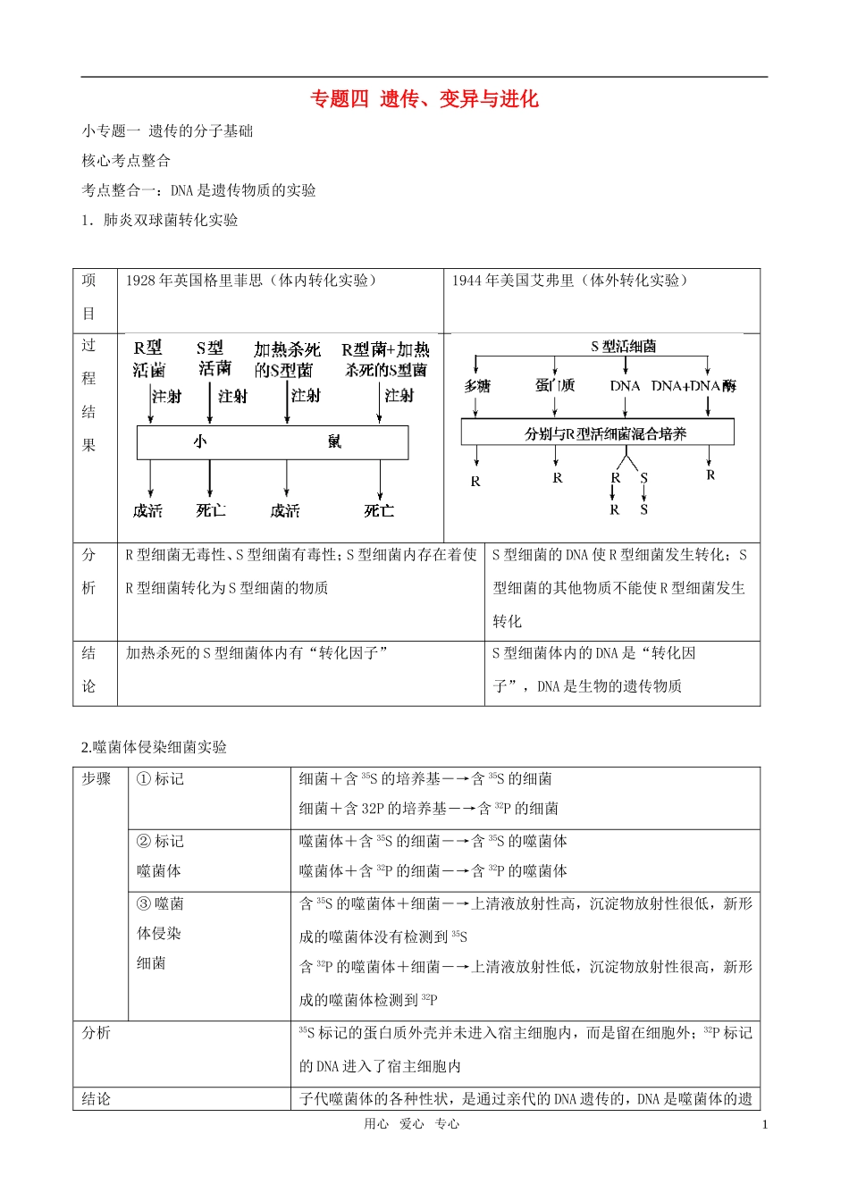 2011高三生物二轮复习 专题4 遗传、变异与进化1 遗传的分子基础学案_第1页