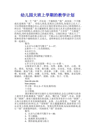幼儿园大班上学期的教学计划