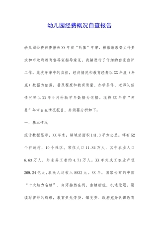 幼儿园经费概况自查报告-