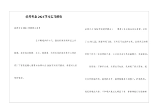 幼师专业2024顶岗实习报告