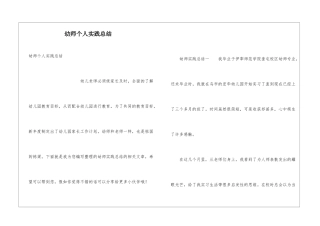 幼师个人实践总结